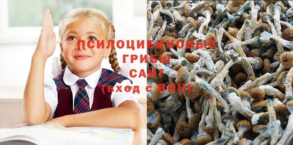 первитин Алексеевка